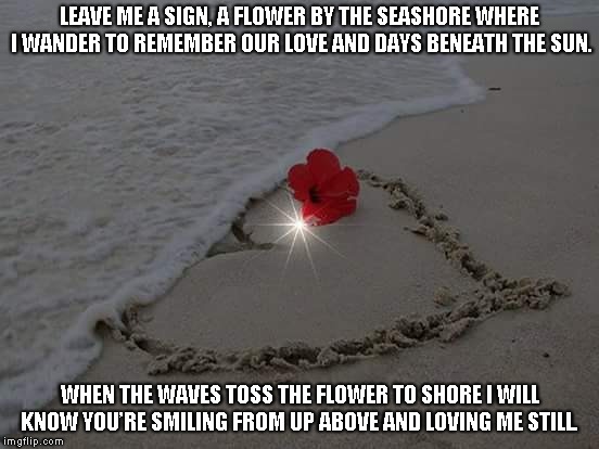 Remembering the Love | LEAVE ME A SIGN, A FLOWER BY THE SEASHORE WHERE I WANDER TO REMEMBER OUR LOVE AND DAYS BENEATH THE SUN. WHEN THE WAVES TOSS THE FLOWER TO SHORE I WILL KNOW YOU’RE SMILING FROM UP ABOVE AND LOVING ME STILL. | image tagged in seashore,flowers,love | made w/ Imgflip meme maker