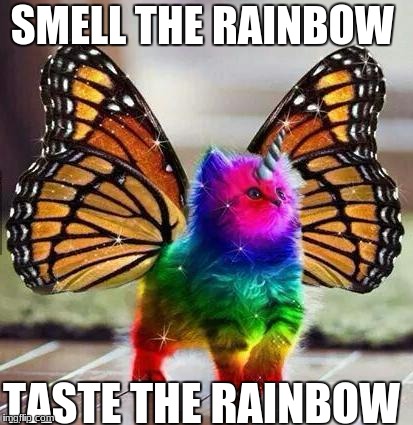Rainbow unicorn butterfly kitten | SMELL THE RAINBOW; TASTE THE RAINBOW | image tagged in rainbow unicorn butterfly kitten | made w/ Imgflip meme maker