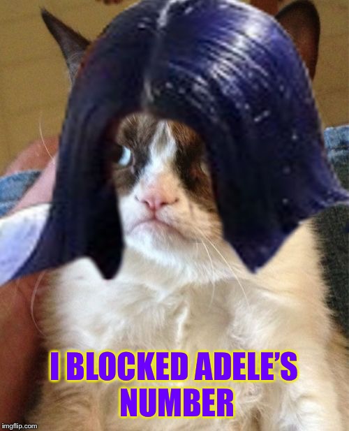 Grumpy Mima | I BLOCKED ADELE’S NUMBER | image tagged in grumpy mima | made w/ Imgflip meme maker