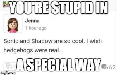 YOU'RE STUPID IN; A SPECIAL WAY | image tagged in hedgehogs apparently aren't real | made w/ Imgflip meme maker