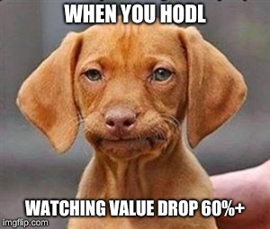 Frustrated dog | WHEN YOU HODL; WATCHING VALUE DROP 60%+ | image tagged in frustrated dog | made w/ Imgflip meme maker