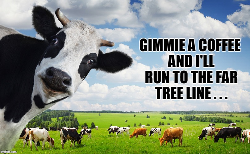 GIMMIE A COFFEE AND I'LL RUN TO THE FAR TREE LINE . . . | made w/ Imgflip meme maker