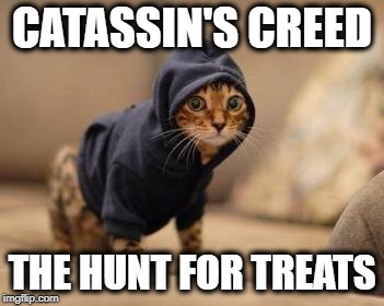 Catassin's Creed Cat |  CATASSIN'S CREED; THE HUNT FOR TREATS | image tagged in cat,cat memes,funny cat memes,assassins creed | made w/ Imgflip meme maker