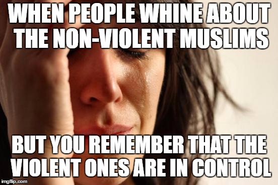 First World Problems Meme | WHEN PEOPLE WHINE ABOUT THE NON-VIOLENT MUSLIMS BUT YOU REMEMBER THAT THE VIOLENT ONES ARE IN CONTROL | image tagged in memes,first world problems | made w/ Imgflip meme maker