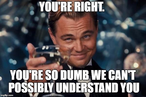 Leonardo Dicaprio Cheers Meme | YOU'RE RIGHT. YOU'RE SO DUMB WE CAN'T POSSIBLY UNDERSTAND YOU | image tagged in memes,leonardo dicaprio cheers | made w/ Imgflip meme maker