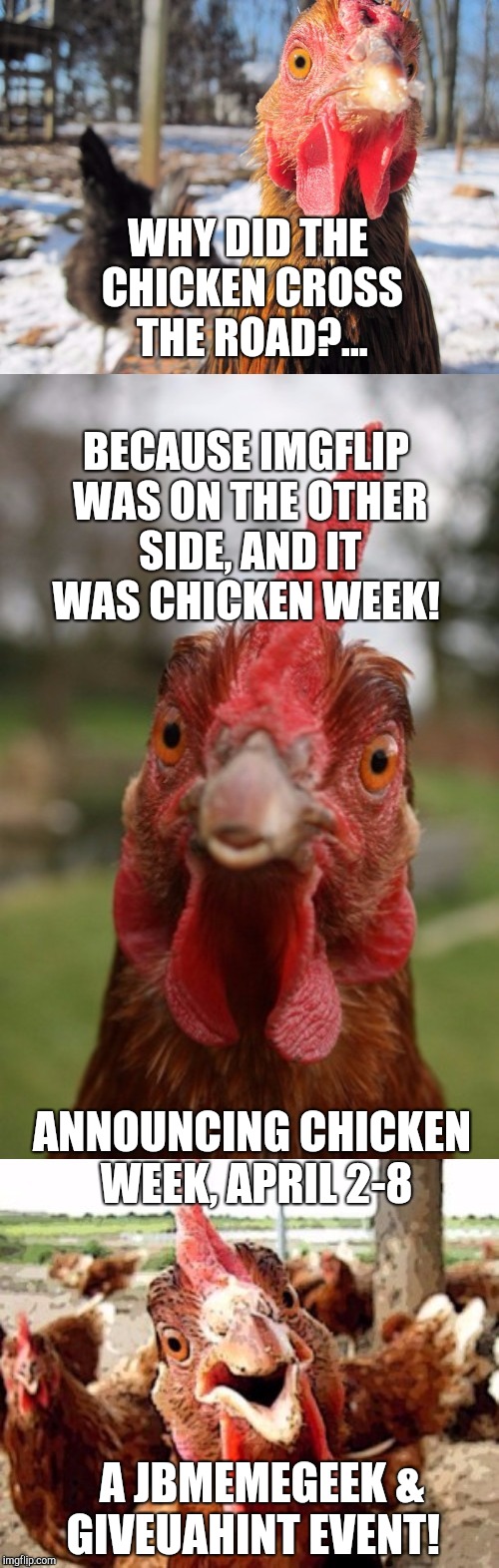 Announcing Chicken Week, April 2-8, a JBmemegeek & giveuahint event! Get your chicken jokes and puns ready!                    | WHY DID THE CHICKEN CROSS THE ROAD?... BECAUSE IMGFLIP WAS ON THE OTHER SIDE, AND IT WAS CHICKEN WEEK! ANNOUNCING CHICKEN WEEK, APRIL 2-8; A JBMEMEGEEK & GIVEUAHINT EVENT! | image tagged in bad pun chicken,chicken week,chickens,jbmemegeek | made w/ Imgflip meme maker