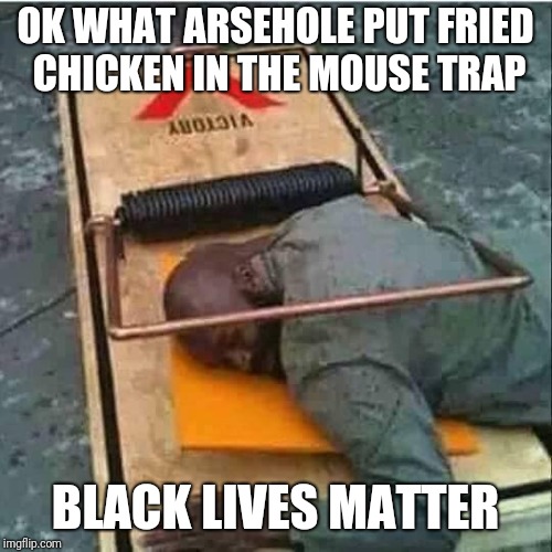 budget cuts | OK WHAT ARSEHOLE PUT FRIED CHICKEN IN THE MOUSE TRAP; BLACK LIVES MATTER | image tagged in budget cuts | made w/ Imgflip meme maker