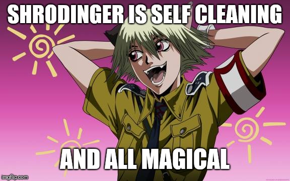 SHRODINGER IS SELF CLEANING; AND ALL MAGICAL | image tagged in hellsing | made w/ Imgflip meme maker