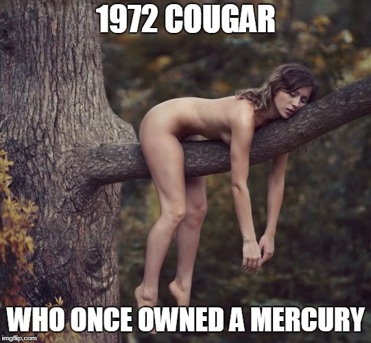 1972 COUGAR WHO ONCE OWNED A MERCURY | made w/ Imgflip meme maker