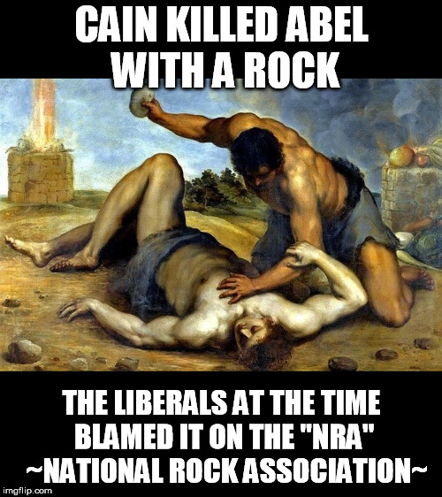 Cain & Abel | CAIN KILLED ABEL WITH A ROCK; THE LIBERALS AT THE TIME BLAMED IT ON THE "NRA"  ~NATIONAL ROCK ASSOCIATION~ | image tagged in nra,liberal logic | made w/ Imgflip meme maker