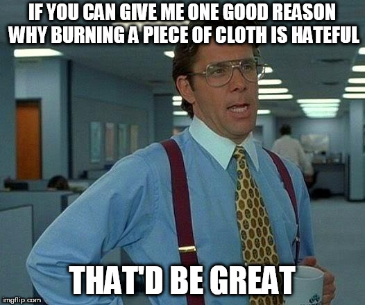 That Would Be Great | IF YOU CAN GIVE ME ONE GOOD REASON WHY BURNING A PIECE OF CLOTH IS HATEFUL; THAT'D BE GREAT | image tagged in memes,that would be great,flag burning,flag,burning,flags | made w/ Imgflip meme maker