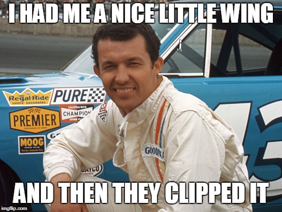 I HAD ME A NICE LITTLE WING AND THEN THEY CLIPPED IT | made w/ Imgflip meme maker