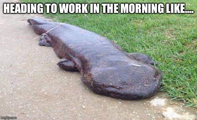 Salamadder | HEADING TO WORK IN THE MORNING LIKE.... | image tagged in work,salamander,japan | made w/ Imgflip meme maker