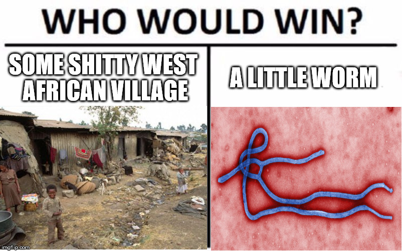 Village vs worm | SOME SHITTY WEST AFRICAN VILLAGE; A LITTLE WORM | image tagged in ebola | made w/ Imgflip meme maker