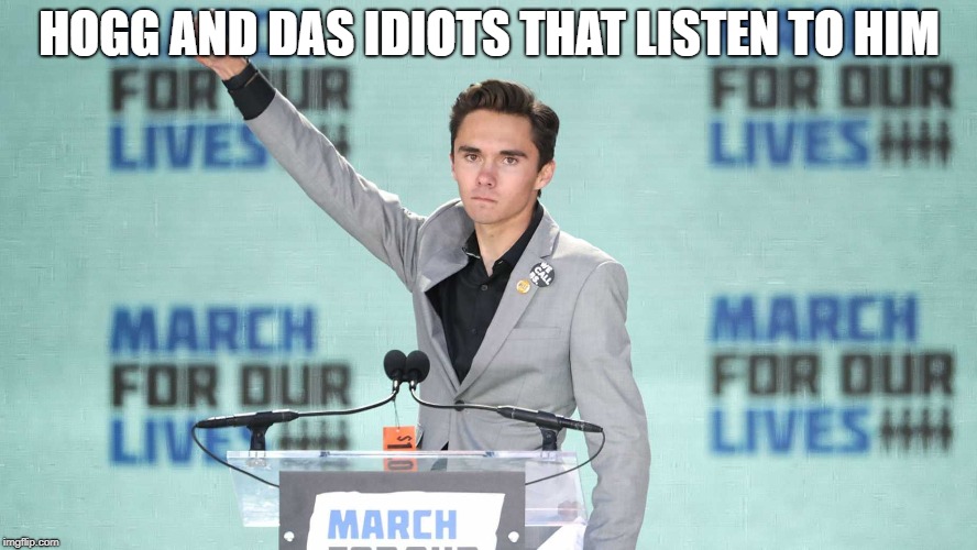 hogg 1 | HOGG AND DAS IDIOTS THAT LISTEN TO HIM | image tagged in hogg  school shootings,hogg,march for our lives,nazi | made w/ Imgflip meme maker