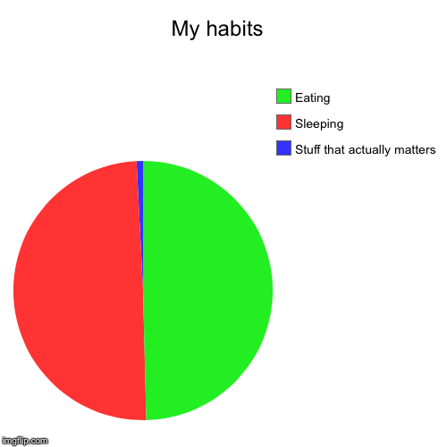 My habits  | Stuff that actually matters, Sleeping , Eating | image tagged in funny,pie charts | made w/ Imgflip chart maker