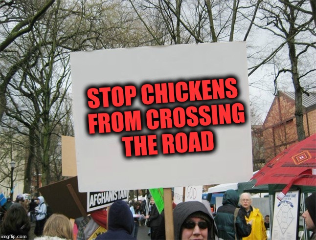 Then we won't have to ask why | STOP CHICKENS FROM CROSSING THE ROAD | image tagged in memes,chickens crossing the road | made w/ Imgflip meme maker