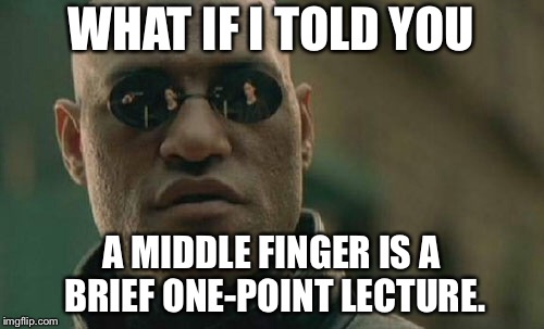 Middle finger summary | WHAT IF I TOLD YOU; A MIDDLE FINGER IS A BRIEF ONE-POINT LECTURE. | image tagged in memes,matrix morpheus,middle finger,flip,speech,points | made w/ Imgflip meme maker