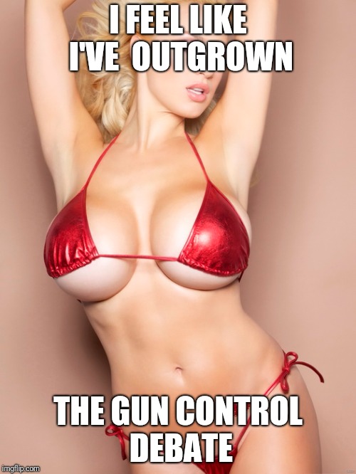 No one's really listening anyway... | I FEEL LIKE I'VE  OUTGROWN; THE GUN CONTROL DEBATE | image tagged in outgrown | made w/ Imgflip meme maker