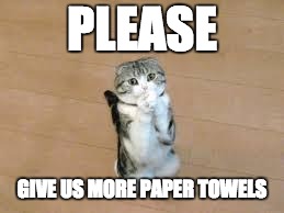 begging cat | PLEASE; GIVE US MORE PAPER TOWELS | image tagged in begging cat | made w/ Imgflip meme maker