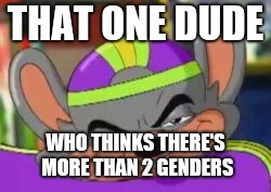 Smirk E. Cheese | THAT ONE DUDE; WHO THINKS THERE'S MORE THAN 2 GENDERS | image tagged in smirk e cheese | made w/ Imgflip meme maker