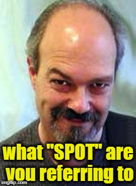 what "SPOT" are you referring to | made w/ Imgflip meme maker