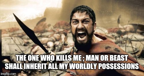 Sparta Leonidas Meme | THE ONE WHO KILLS ME ; MAN OR BEAST SHALL INHERIT ALL MY WORLDLY POSSESSIONS | image tagged in memes,sparta leonidas | made w/ Imgflip meme maker