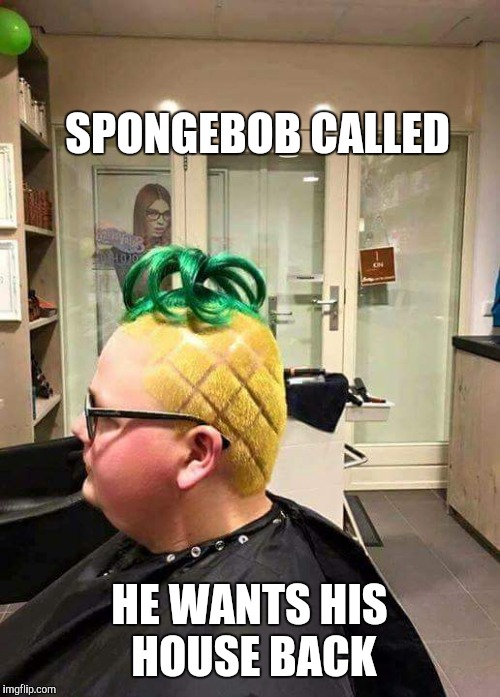 SPONGEBOB CALLED; HE WANTS HIS HOUSE BACK | image tagged in who lives in a pineapple under the sea,weird,hairdo | made w/ Imgflip meme maker