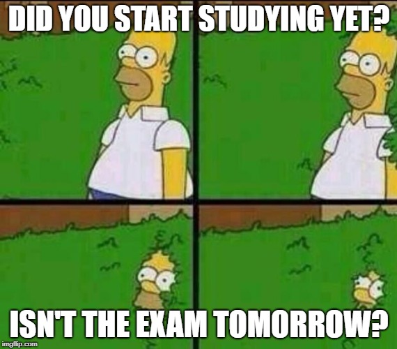 Homer Simpson in Bush - Large | DID YOU START STUDYING YET? ISN'T THE EXAM TOMORROW? | image tagged in homer simpson in bush - large | made w/ Imgflip meme maker