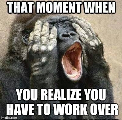 gorilla | YOU REALIZE YOU HAVE TO WORK OVER | image tagged in gorilla | made w/ Imgflip meme maker