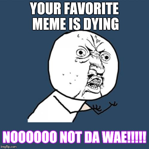 Y U No | YOUR FAVORITE MEME IS DYING; NOOOOOO NOT DA WAE!!!!! | image tagged in memes,y u no | made w/ Imgflip meme maker