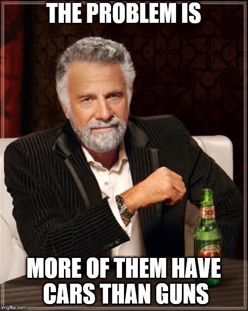 The Most Interesting Man In The World Meme | THE PROBLEM IS MORE OF THEM HAVE CARS THAN GUNS | image tagged in memes,the most interesting man in the world | made w/ Imgflip meme maker