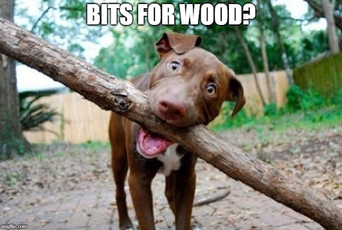 dog stick | BITS FOR WOOD? | image tagged in dog stick | made w/ Imgflip meme maker