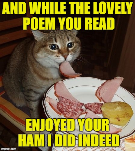AND WHILE THE LOVELY POEM YOU READ ENJOYED YOUR HAM I DID INDEED | made w/ Imgflip meme maker