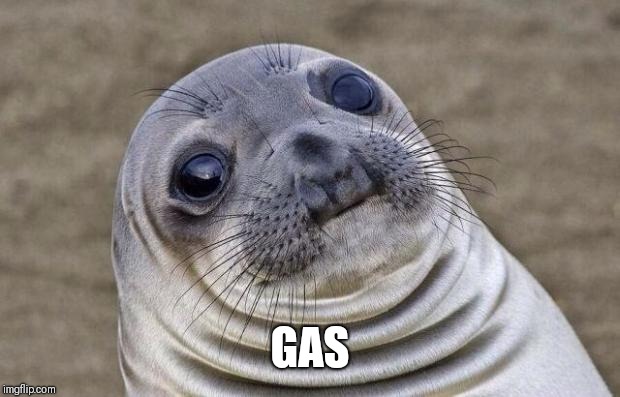 Awkward Moment Sealion Meme | GAS | image tagged in memes,awkward moment sealion | made w/ Imgflip meme maker