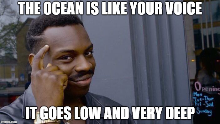 Roll Safe Think About It Meme | THE OCEAN IS LIKE YOUR VOICE; IT GOES LOW AND VERY DEEP | image tagged in memes,roll safe think about it | made w/ Imgflip meme maker