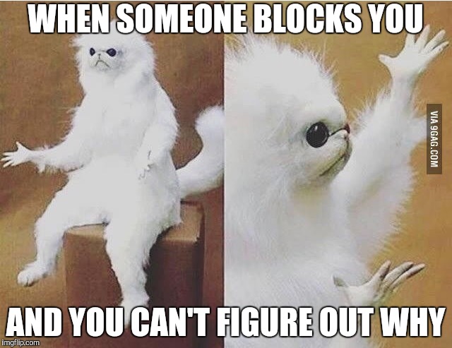 Confused white monkey | WHEN SOMEONE BLOCKS YOU; AND YOU CAN'T FIGURE OUT WHY | image tagged in confused white monkey | made w/ Imgflip meme maker