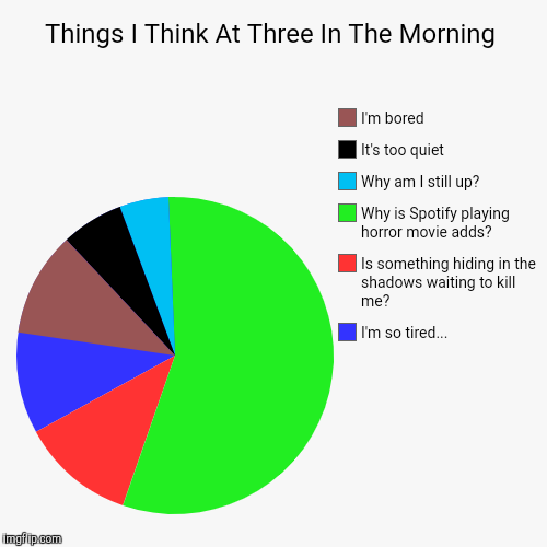 Things I Think At Three In The Morning | I'm so tired..., Is something hiding in the shadows waiting to kill me?, Why is Spotify playing hor | image tagged in funny,pie charts | made w/ Imgflip chart maker