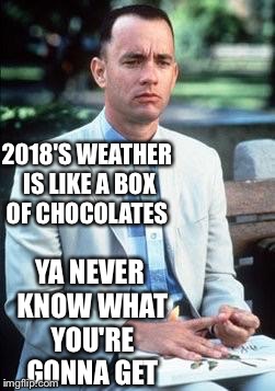 Forest gump | 2018'S WEATHER IS LIKE A BOX OF CHOCOLATES; YA NEVER KNOW WHAT YOU'RE GONNA GET | image tagged in forest gump | made w/ Imgflip meme maker