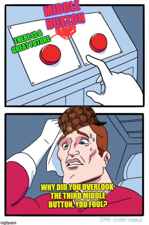 Two Buttons Meme | MIDDLE BUTTON WHY DID YOU OVERLOOK THE THIRD MIDDLE BUTTON, YOU FOOL? THERE IS A GREAT FUTURE | image tagged in memes,two buttons,scumbag | made w/ Imgflip meme maker