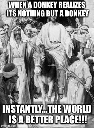 Jesus on the Donkey | WHEN A DONKEY REALIZES ITS NOTHING BUT A DONKEY; INSTANTLY...THE WORLD IS A BETTER PLACE!!! | image tagged in jesus on the donkey | made w/ Imgflip meme maker