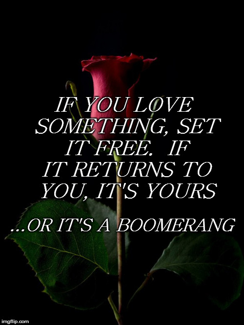 Fly, be free | IF YOU LOVE SOMETHING, SET IT FREE.  IF IT RETURNS TO YOU, IT'S YOURS; ...OR IT'S A BOOMERANG | image tagged in memes,rose,boomerang | made w/ Imgflip meme maker