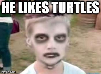 HE LIKES TURTLES | made w/ Imgflip meme maker