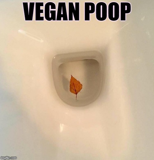 vegan poop | VEGAN POOP | image tagged in poop,vegancirclejerk | made w/ Imgflip meme maker