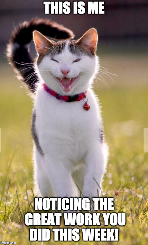 Happy cat  | THIS IS ME; NOTICING THE GREAT WORK YOU DID THIS WEEK! | image tagged in happy cat | made w/ Imgflip meme maker