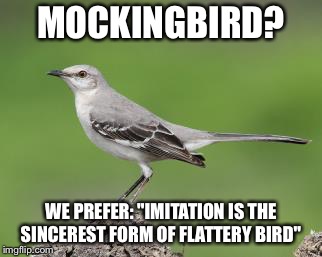 Birb | MOCKINGBIRD? WE PREFER: "IMITATION IS THE SINCEREST FORM OF FLATTERY BIRD" | image tagged in memes,birds | made w/ Imgflip meme maker