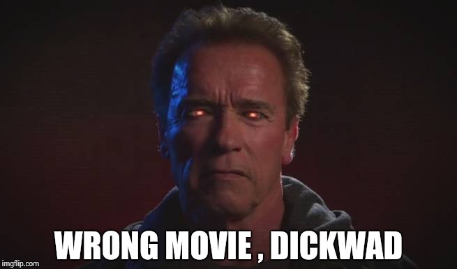 WRONG MOVIE , DICKWAD | image tagged in terminator fire eyes | made w/ Imgflip meme maker