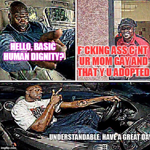 human 6ignity | F*CKING ASS C*NT UR MOM GAY AND THAT Y U ADOPTED; HELLO, BASIC HUMAN DIGNITY? | image tagged in datlinx,yung mung,nein gang,understandable have a great day | made w/ Imgflip meme maker