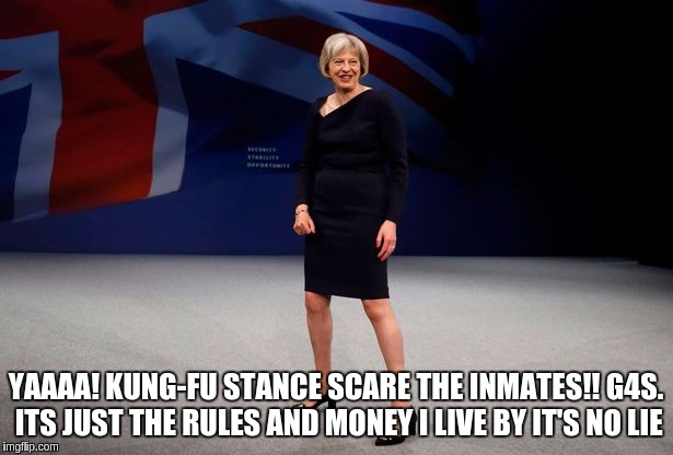 Image tagged in theresa may g4s kung fu stance - Imgflip