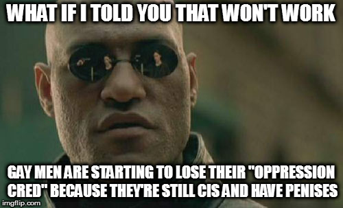 Matrix Morpheus Meme | WHAT IF I TOLD YOU THAT WON'T WORK GAY MEN ARE STARTING TO LOSE THEIR "OPPRESSION CRED" BECAUSE THEY'RE STILL CIS AND HAVE P**ISES | image tagged in memes,matrix morpheus | made w/ Imgflip meme maker
